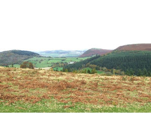 Supporting image for story: Come walking in a town famous for apples, beef, beer and the wild, beautiful uplands of Wales