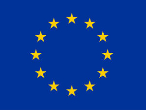 Supporting image for story: Sick are more important than Brexit