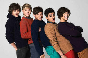 Supporting image for story: One Direction counting down to Wolverhampton