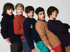 Supporting image for story: One Direction counting down to Wolverhampton