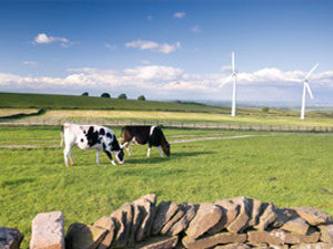 Supporting image for story: Protestors threaten council with legal action for allowing wind farm work