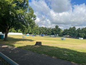 The tree has been removed from The Quarry. Picture: Shrewsbury Town Council