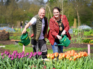 Supporting image for story: Green-fingered growers gather for grand opening party of new allotments site 