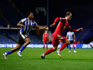 Supporting image for story: Sheffield Wednesday 1-0 Shrewsbury - player ratings