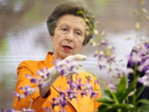 Supporting image for story: Anne admires flower named after late royal in Singaporean botanic garden