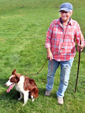Lorna Owen with sheepdog Bonnie  ready for  the trials. Image by Ted Edwards Photography