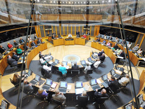 Supporting image for story: Nature emergency must be called