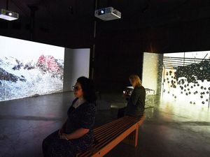 Supporting image for story