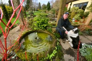 John Massey in 'John's Garden' at Ashwood Nurseries, Kingswinford