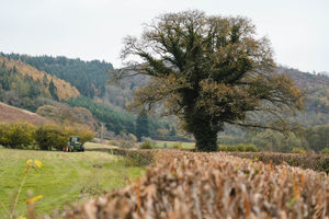 Two new woodlands have been created in Shropshire and are home to more than 130,000 new trees. Pictured is ground preparation work at the Lower Lye woodland. Picture: Forestry England. 