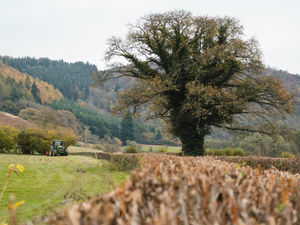 Supporting image for story: Shropshire Council 'unlikely' to meet 2030 net zero target as staggering cost of climate change revealed in new report