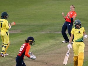 Supporting image for story