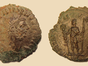 Supporting image for story: Leominster hoard coins return home