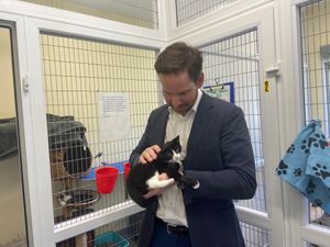 Alex Ballinger also met cats who are looking for new homes