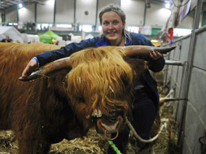 Supporting image for story: Staffordshire County Show hailed a success as thousands attend two-day event - PICTURES and VIDEO