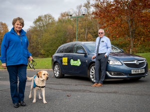 Supporting image for story: Go Carz go the extra mile throughout the pandemic