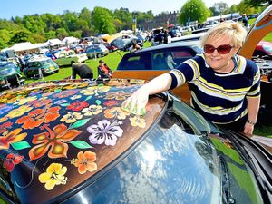 Supporting image for story: Himley Hall mini show attracts hundreds