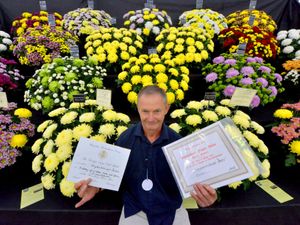 Supporting image for story: Shrewsbury Flower Show: Thousands expected on second day despite chance of rain