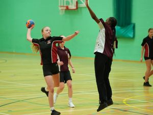 Supporting image for story: Schools called to give children more choice in sport by Handball coach