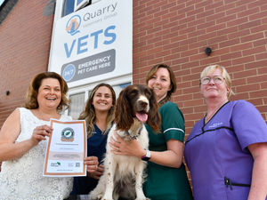 Supporting image for story: Shrewsbury vets wins green award