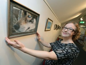 Supporting image for story: Artist shows off exotic wildlife pics at exhibition in Market Drayton