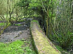 Part of the historic hydro plant hidden away in the Clee Hills