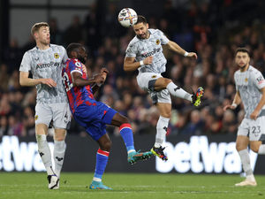 Supporting image for story: New boss search has not affected Wolves insists Steve Davis