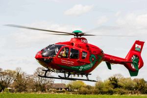 Supporting image for story