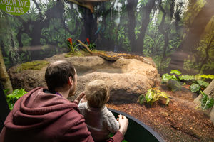 Close Encounters – The World of Reptiles and Spiders at Twycross Zoo