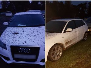 Supporting image for story: Holidaymaker finds his £12,000 Audi 'dumped in muddy field by parking firm'