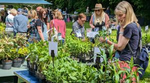 Plant Fair