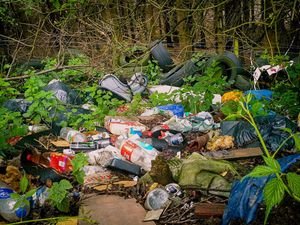 Supporting image for story: Peter Rhodes on fly-tipping, extracting money from pensioners and saving the nation's crockery from Boris