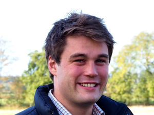 Supporting image for story: Moving fast when the price is right