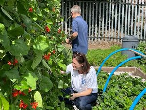 Supporting image for story: Labour leader in drive to make it easier for people to grow their own