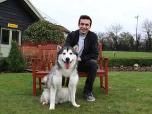 Supporting image for story: Shrewsbury charity rehomes its first dog of 2019
