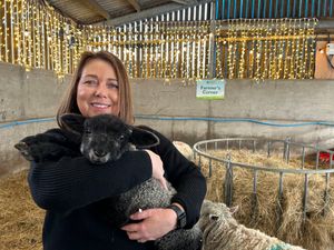 Supporting image for story: New policy enables nature reserve to became centre of excellence