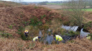 Volunteers on the hill fort