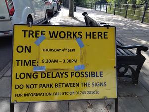 Tree works are to take place near Shrewsbury Railway Station on Thursday (September 4). Picture: LDRS