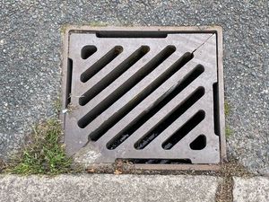 Supporting image for story: City roads hit by great drain robbery