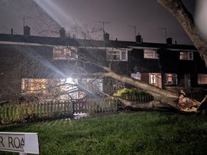 Supporting image for story: 'It sounded like hail on the windows': Mum recalls sounds after Shrewsbury tree cracks in half during Storm Darragh
