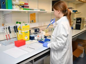 Supporting image for story: University students on practical courses set to return for in-person teaching