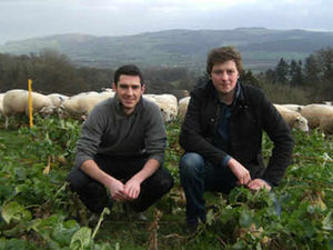 Supporting image for story: Farming Talk: Young farmers gain top lamb price in scheme