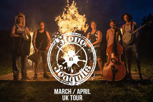 Supporting image for story: Steve'n'Seagulls heading to Birmingham tonight