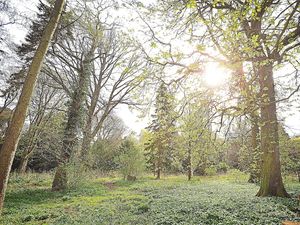 Supporting image for story: Packed programme of family walks to return for half-term