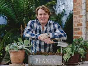 Supporting image for story: Celebrity gardener David Domoney to appear at Shrewsbury Flower Show