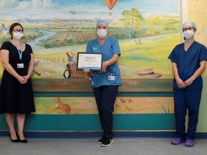 Supporting image for story: Children’s nurse hailed health hero for 'outstanding contribution' to patient experience and safety
