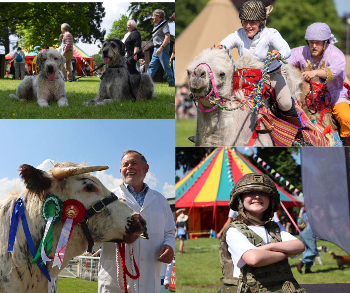 One week to go : Royal Welsh Spring Festival unveils exciting new programme