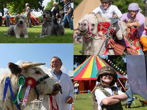 One week to go : Royal Welsh Spring Festival unveils exciting new programme