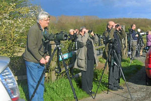 Twitchers set up their equipment to try and catch a rare glimpse of the bird 