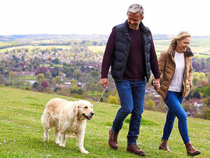 Supporting image for story: Peter Rhodes: Flick that poo